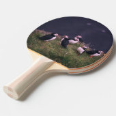 Raquette De Ping Pong Puffins de l'Atlantique (Devant Angle)