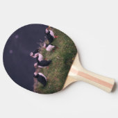 Raquette De Ping Pong Puffins de l'Atlantique (Côté)
