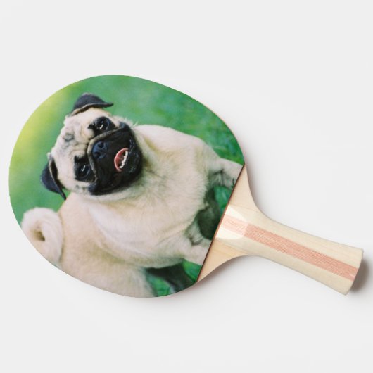 Raquette De Ping Pong pug-30.jpg (Côté)