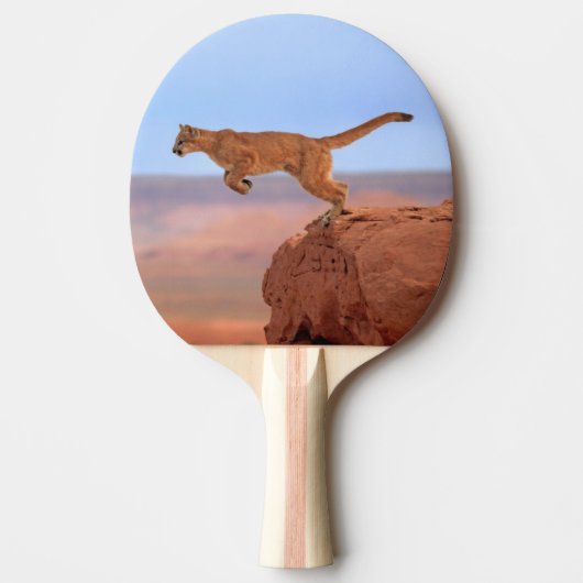 Raquette De Ping Pong Puma (Devant)