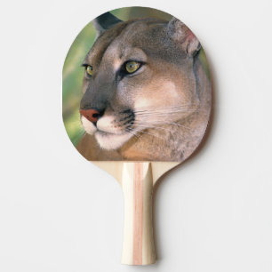 Raquette De Ping Pong Puma, Californie