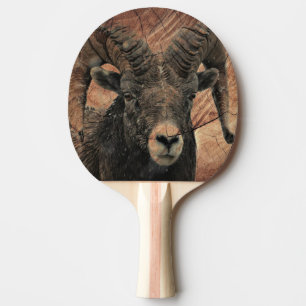 Raquette De Ping Pong Râle