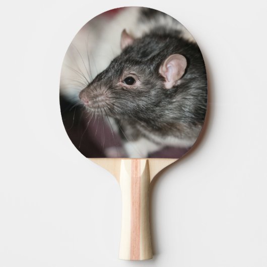 Raquette De Ping Pong Rat (Devant)