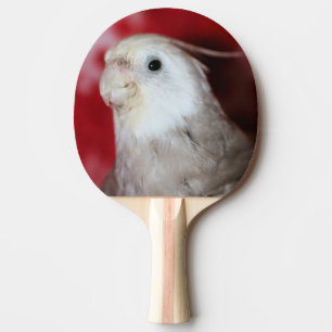 Raquette De Ping Pong Reeples