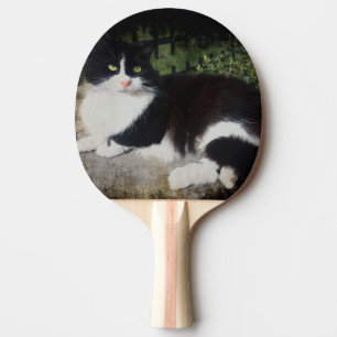 Raquette De Ping Pong Reine de la palette de ping-pong de chat de jardin