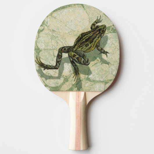 Raquette De Ping Pong Remonter le crapaud dans l'eau (Devant)
