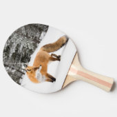 Raquette De Ping Pong Renard rouge en neige blanche (Côté)