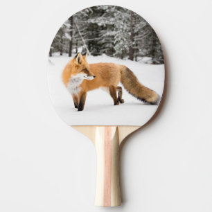 Raquette De Ping Pong Renard rouge en neige blanche