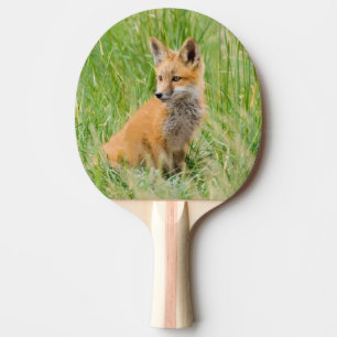Raquette De Ping Pong Renardeau roux dans l'herbe près de terrier