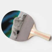 Raquette De Ping Pong Repose de l'ours polaire (Côté)