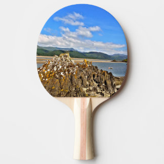 RAQUETTE DE PING PONG RIVIÈRE À MARÉE