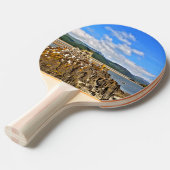 RAQUETTE DE PING PONG RIVIÈRE À MARÉE (Devant Angle)