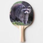 Raquette De Ping Pong Rocky le Raccoon (Devant)