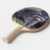 Raquette De Ping Pong Rocky le Raccoon (Devant Angle)