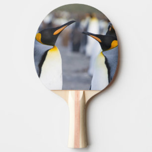 Raquette De Ping Pong Roi Pingouin
