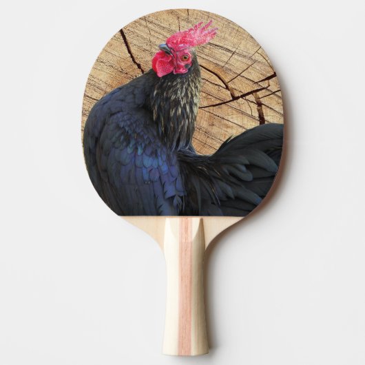Raquette De Ping Pong Rooster noir (Devant)