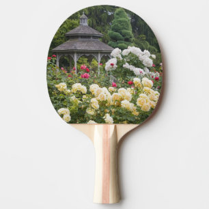 Raquette De Ping Pong Roses en fleurs et roseraie du belvédère à