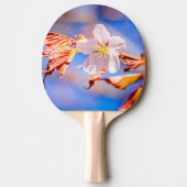 Raquette De Ping Pong Rouge Sakura bleu ciel (Devant)