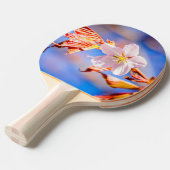 Raquette De Ping Pong Rouge Sakura bleu ciel (Devant Angle)