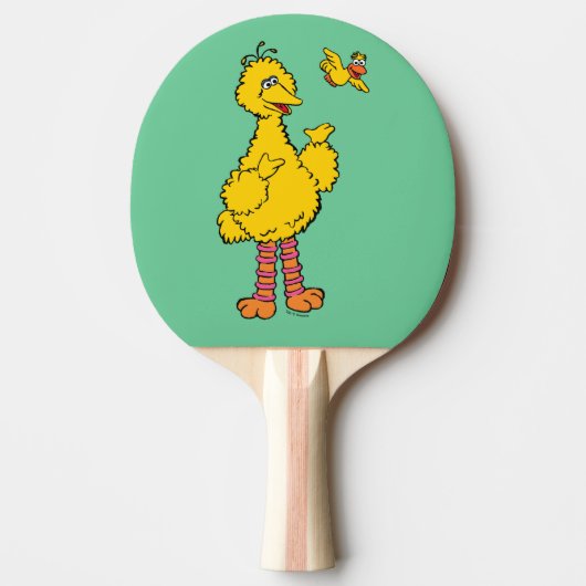 Raquette De Ping Pong Rue Sésame | Big Bird & Little Bird (Devant)