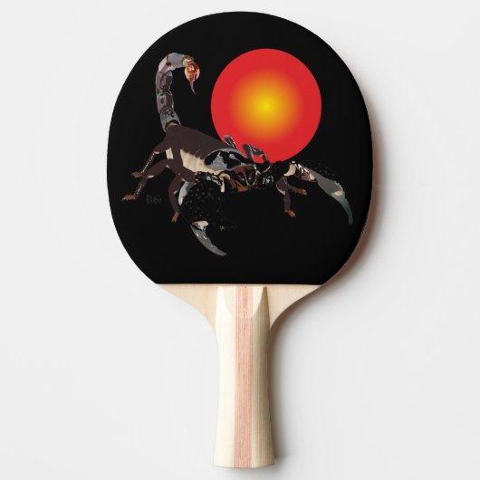 Raquette De Ping Pong Scorpion (Devant)
