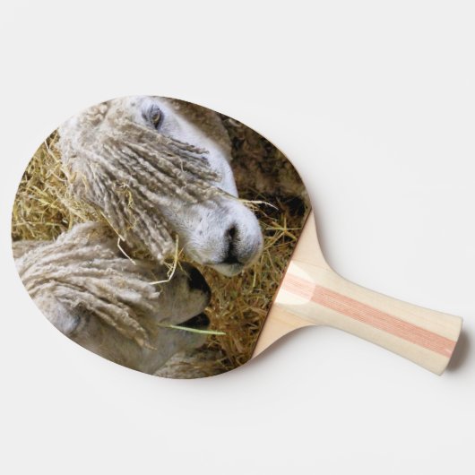 RAQUETTE DE PING PONG SHEEP (Côté)
