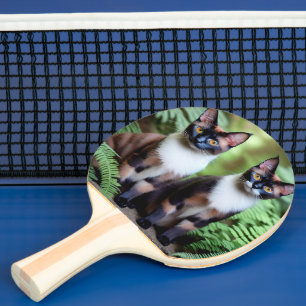 Raquette De Ping Pong Siamese Chat Twins, Ping Pong Paddle