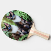 Raquette De Ping Pong Siamese Chat Twins, Ping Pong Paddle (Côté)