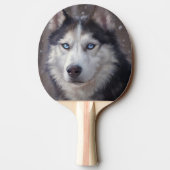 Raquette De Ping Pong Sibérien Husky (Dos)