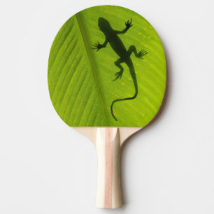 Raquette De Ping Pong Silhouette de Gecko