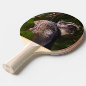 Raquette De Ping Pong Singe bleu, Zanzibar (Devant Angle)