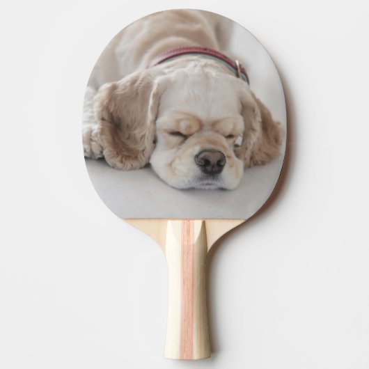 Raquette De Ping Pong Sommeil de chien de cocker (Devant)
