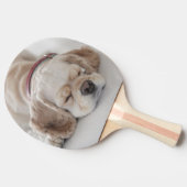 Raquette De Ping Pong Sommeil de chien de cocker (Côté)