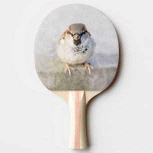 Raquette De Ping Pong Sparrow - Le Guerrier