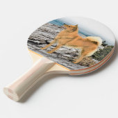 Raquette De Ping Pong Spitz finlandais à Seashore Peinture - Chien Art (Devant Angle)