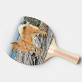 Raquette De Ping Pong Spitz finlandais à Seashore Peinture - Chien Art (Côté)