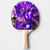 RAQUETTE DE PING PONG SPRING CROCUS (Devant)