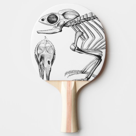 Raquette De Ping Pong squelette de lézard vintage (Devant)