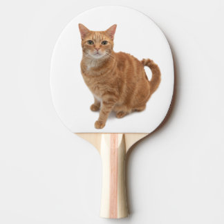 Raquette De Ping Pong Stade de Cat orange