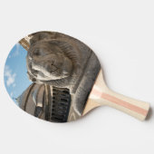 Raquette De Ping Pong statue de lion devant San Francesco di Paola (Côté)