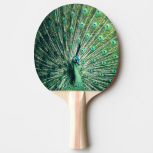 Raquette De Ping Pong Strut Peacock