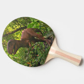 Raquette De Ping Pong T-Rex (Côté)
