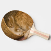 Raquette De Ping Pong Table orange dormant dans le hamper (Côté)