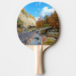 Raquette De Ping Pong Taughannock tombe parc d'état