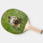 Raquette De Ping Pong Terrier Yorkshire mignon Traversant L'Herbe (Côté)