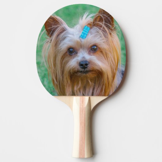 Raquette De Ping Pong Tête de chien de Terrier du Yorkshire (Devant)