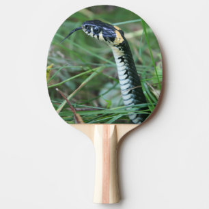 Raquette De Ping Pong Tête de serpent