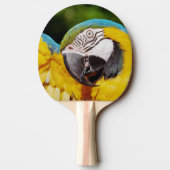 Raquette De Ping Pong Tête d'un Macaw bleu et jaune (Dos)