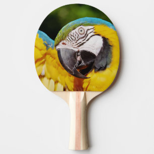 Raquette De Ping Pong Tête d'un Macaw bleu et jaune
