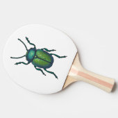 Raquette De Ping Pong The tansy beetle (Côté)